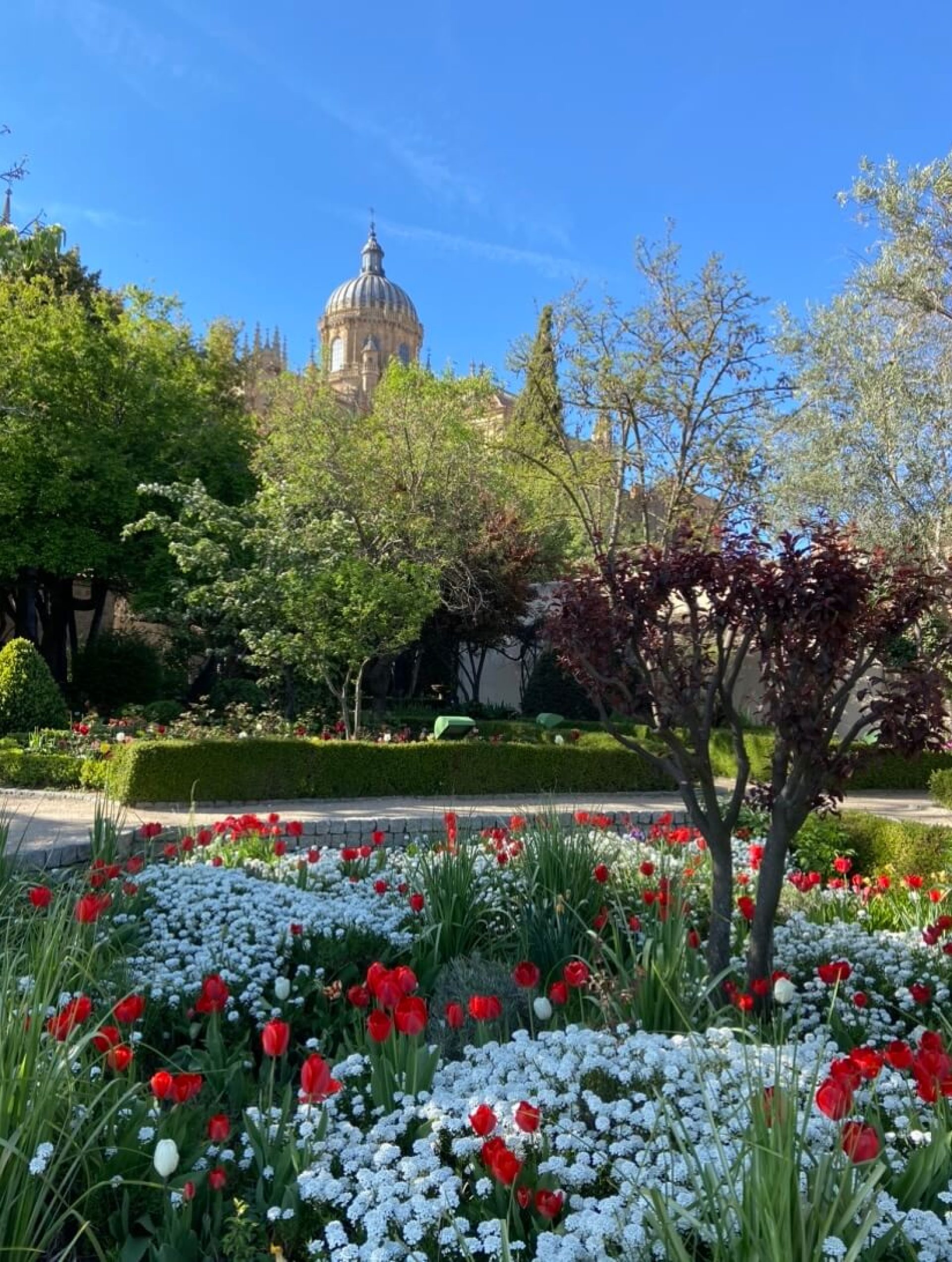 Photo-espagne-parc